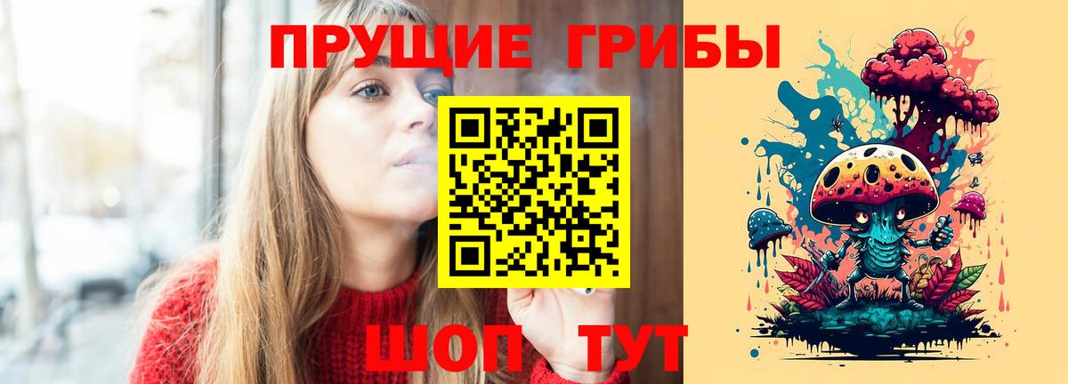 Галлюциногенные грибы Psilocybe Бутурлиновка